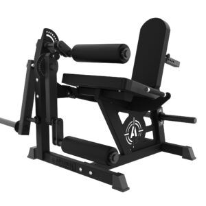 RELOADED LEG EXTENSION/SEATED LEG CURL